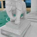 达州 白麻花岗岩动物异形石雕-大象
