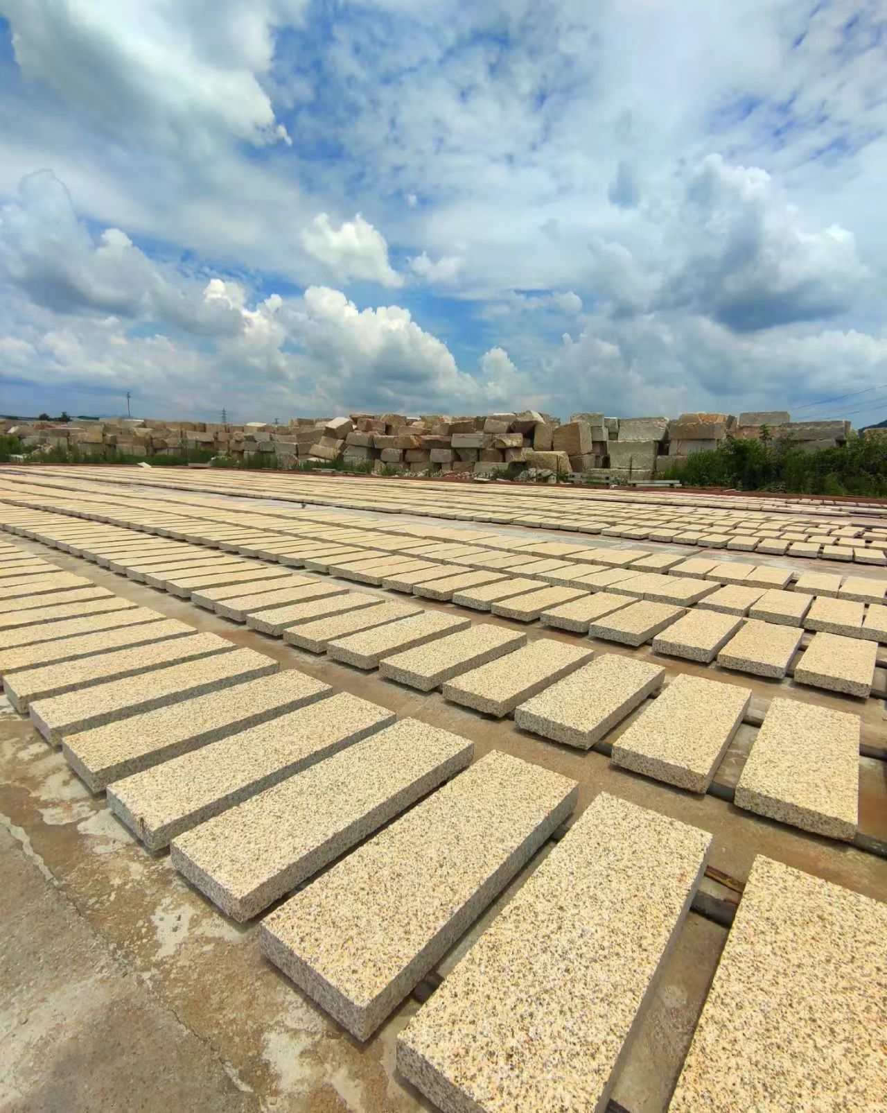 达州 黄金麻花岗岩荔枝面地铺石防护中